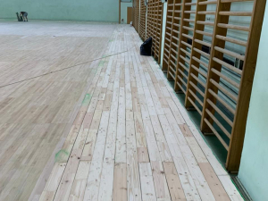 ДС Динамо, цокольный этаж