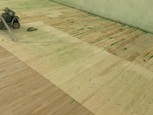 ДС Динамо, цокольный этаж