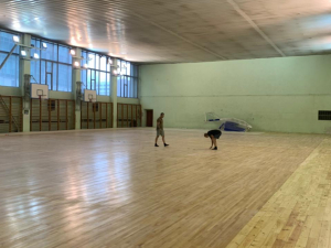 ДС Динамо, цокольный этаж