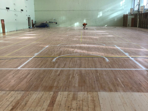 ДС Динамо, цокольный этаж