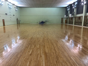 ДС Динамо, цокольный этаж