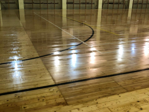 ДС Динамо, цокольный этаж