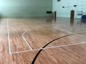 ДС Динамо, цокольный этаж