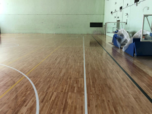 ДС Динамо, цокольный этаж