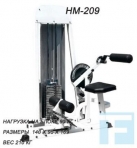 HM-209 2в1 Пресс-машина / разгибание спины